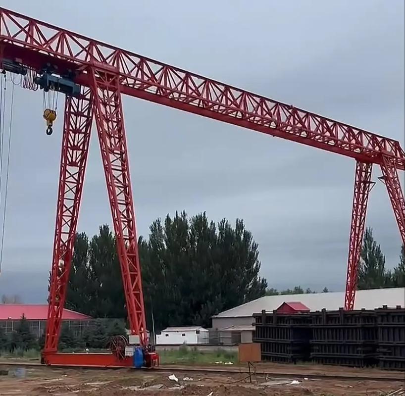 QD Double Girder Overhead Crane with Hook